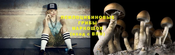 2c-b Усмань