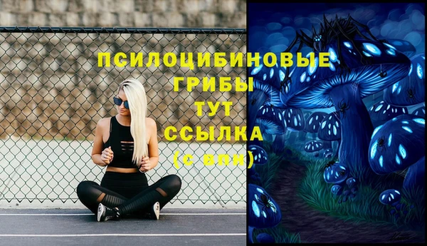 эйфоретик Магадан