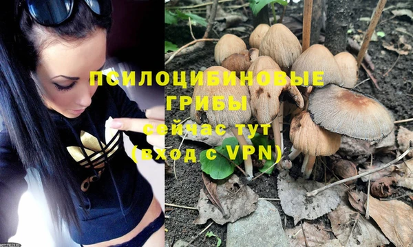 прущая мука Майский