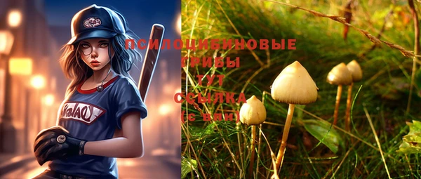 метадон Липки