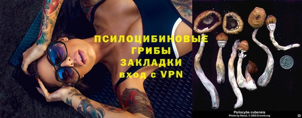 прущие грибы Покачи