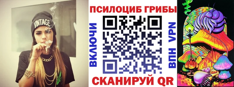даркнет какой сайт  Черепаново  Галлюциногенные грибы Magic Shrooms  как найти наркотики 